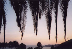 malibu1.jpg
